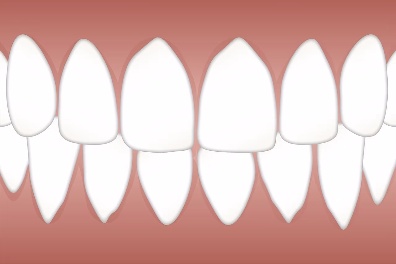 Illustration of a healthy dental arch with even, undamaged teeth and firm gums